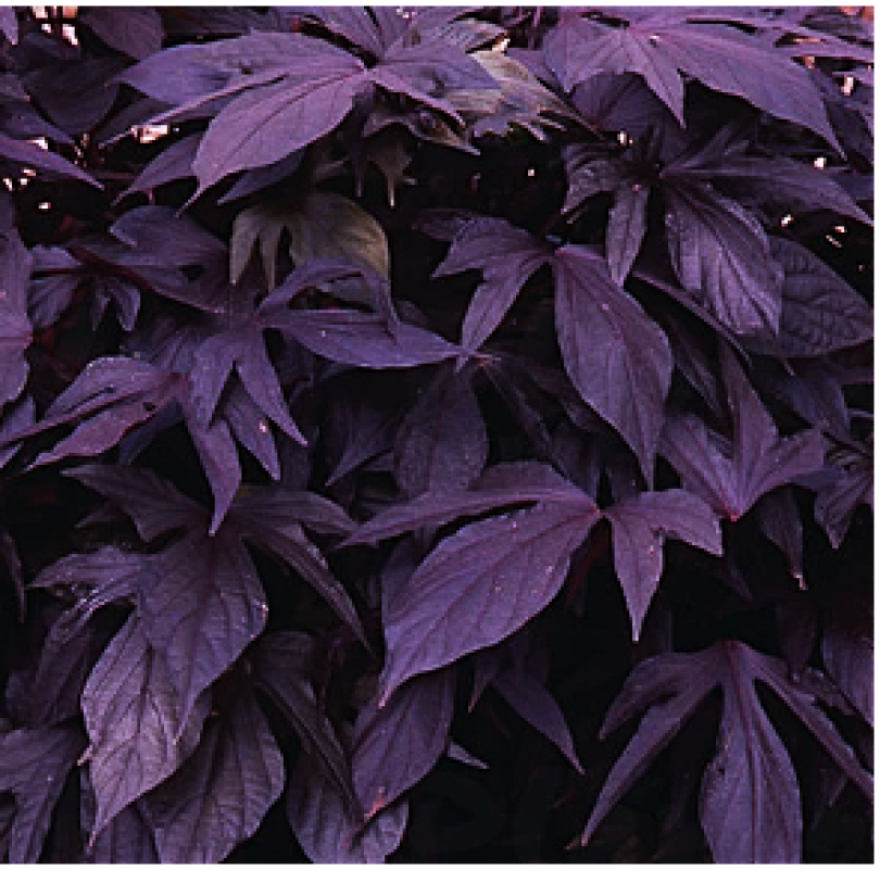 Снимок экрана 2025-10-22 163728